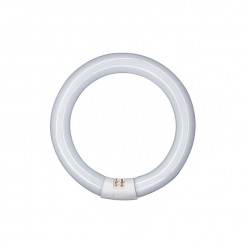 Tubo LED circular G10q 215mm 15W Blanco Frío