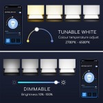 Panel LED Backlight 600X600mm 36W Marco Blanco SMART CCT Bluetooth Mesh, para Smartphone y control voz