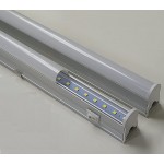 Tubo LED integrado T5 4W 304mm CCT con interruptor