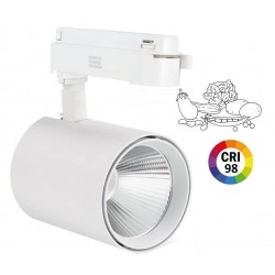 Foco Carril BOT Monofásico Blanco LED COB 30W, especial Verdulerías