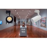 Foco Carril POLAR Trifásico LED COB Citizen 30W Blanco CRI90 15º, 24º,38º ó 60º