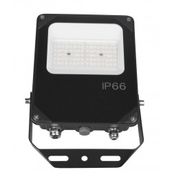 Foco LED exterior PRO 30W IP66 Asimétrico ASI2 Regulable 1-10V