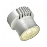 Módulo LED ES50 50X55mm 10W 55º CCT