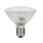 Lámpara LED PAR30 E27 10W 40º IP65 FULL GLASS