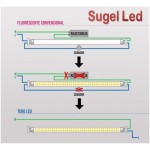 Tubo LED T8 1200mm Cristal 18W Blanco Neutro, conexión 1 lado