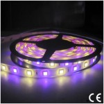 Tira LED 5 mts Flexible 72W 300 Led SMD 5050 IP20 RGB+WW Blanco Cálido Alta Luminosidad Tira LED 5 mts Flexible 72W 300 Led SMD 5050 IP20 RGB+WW Blanco Cálido Alta Luminosidad