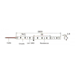 Tira LED 5 mts Flexible 24W 300 Led SMD 3528 IP54 Blanco Cálido
